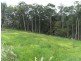 Mon Terre Ridge, Little Mountain QLD 4551