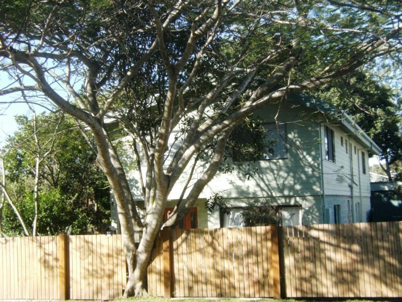 27 Albert Street, Shelly Beach QLD 4551