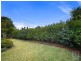 38 Tall Trees Way, Little Mountain QLD 4551