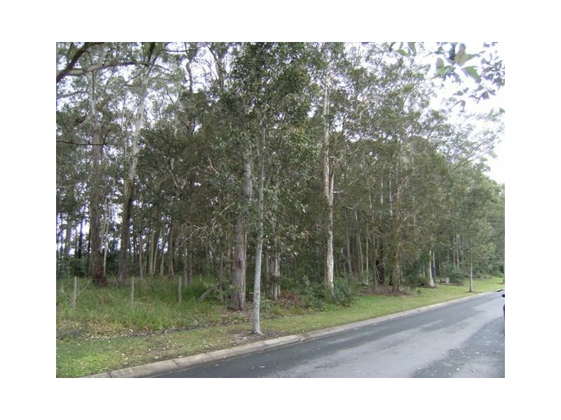 21 Tall Trees Way, Little Mountain QLD 4551