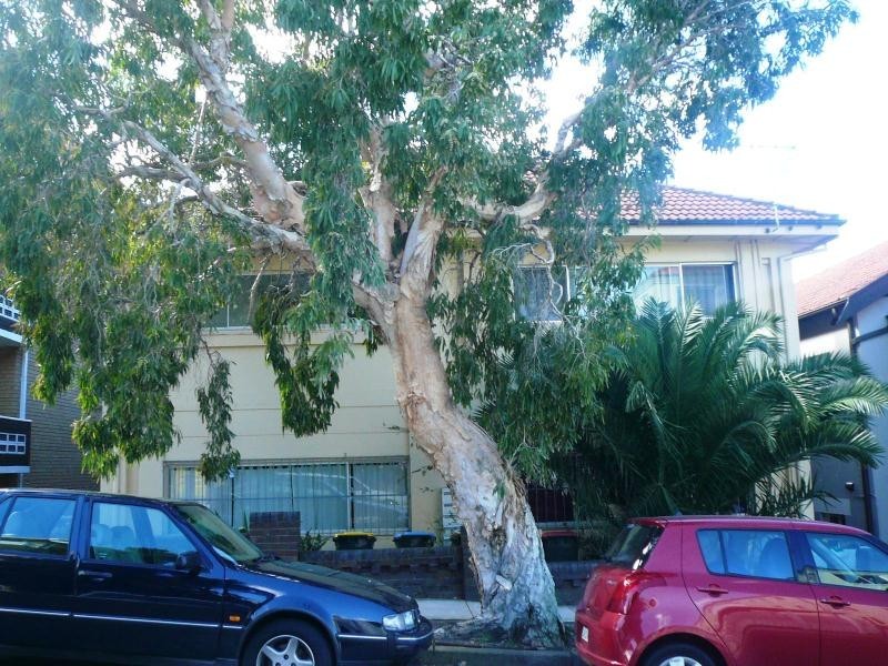 12/32 Roscoe Street, Bondi Beach NSW 2026