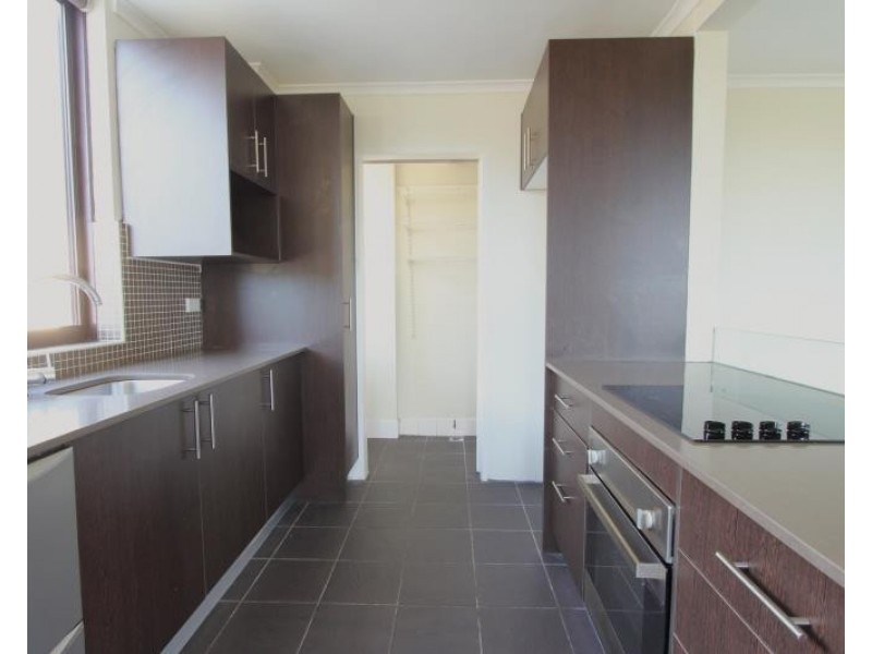 3/315 Bondi Road, Bondi NSW 2026