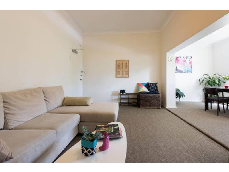 5/241 Bondi Road, Bondi NSW 2026