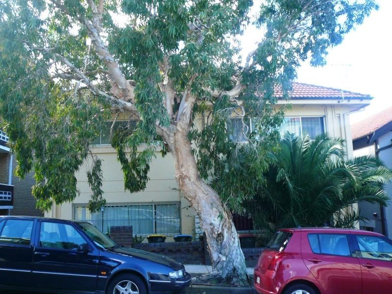 8/32 Roscoe Street, Bondi Beach NSW 2026