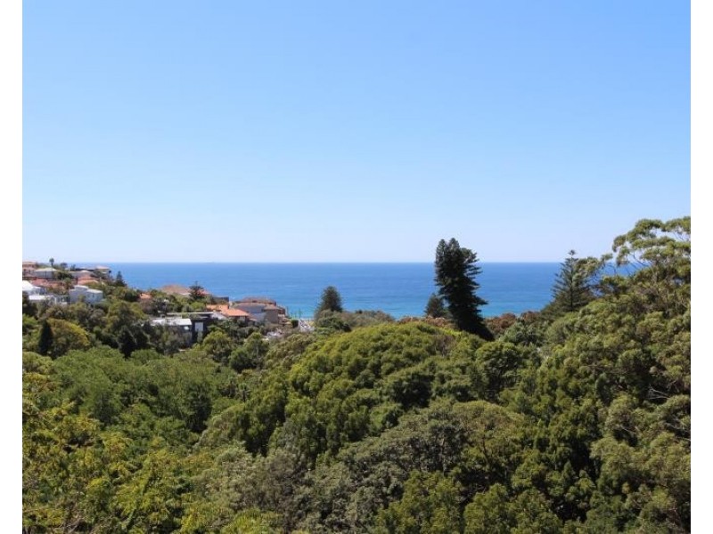 17/47 Murray Street, Bronte NSW 2024