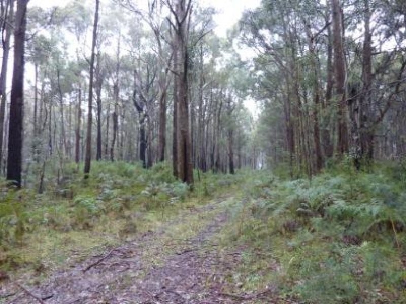 Whitfield Mansfield Road, Whitfield VIC 3733