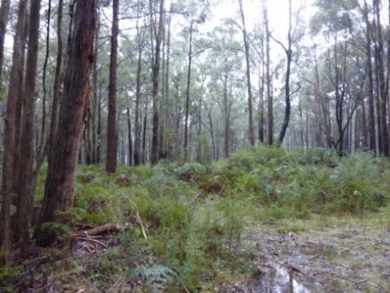 Whitfield Mansfield Road, Whitfield VIC 3733