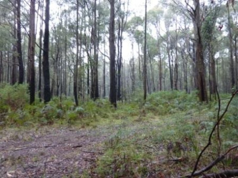 Whitfield Mansfield Road, Whitfield VIC 3733