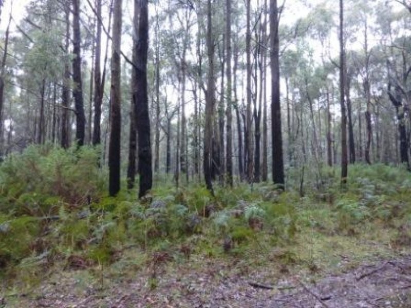 Whitfield Mansfield Road, Whitfield VIC 3733