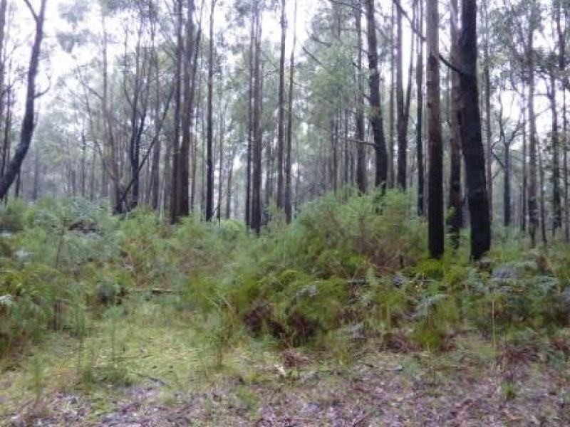 Whitfield Mansfield Road, Whitfield VIC 3733