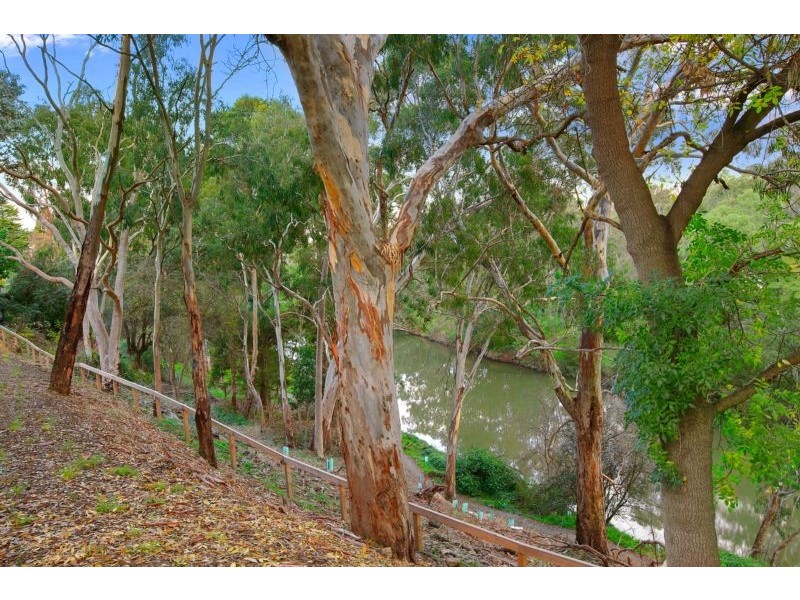 105/21 Rex Avenue, Alphington VIC 3078