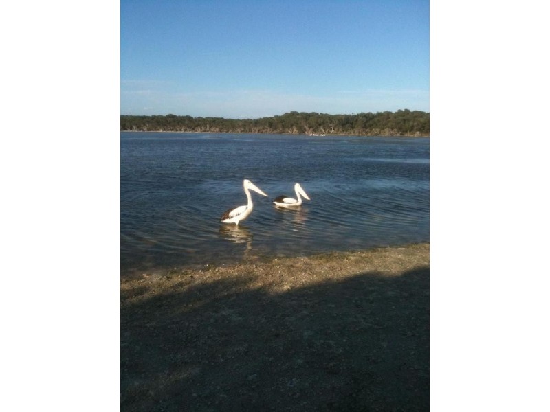 37 Blossoms Avenue, Bremer Bay WA 6338