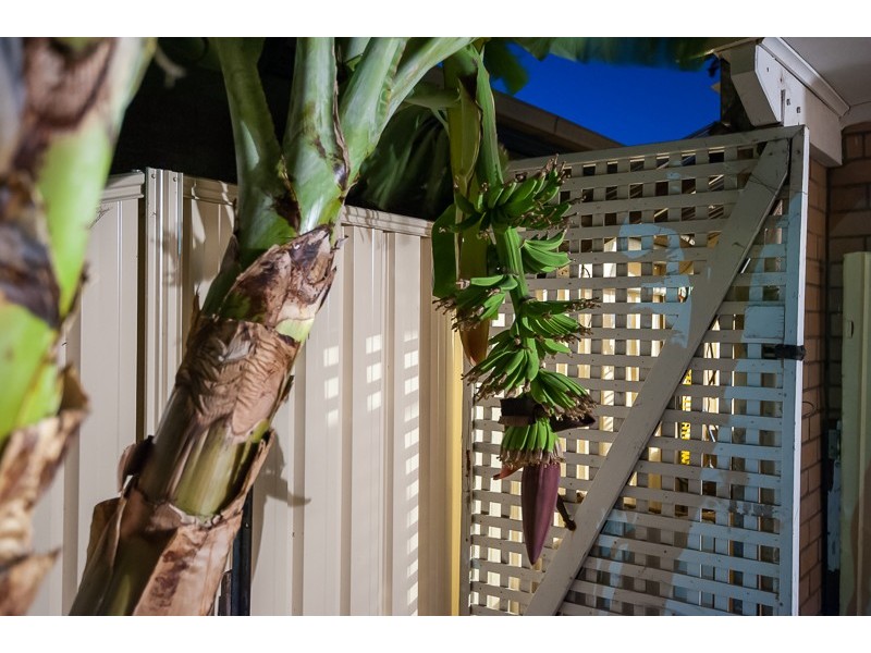 77 King Street, Gosnells WA 6110