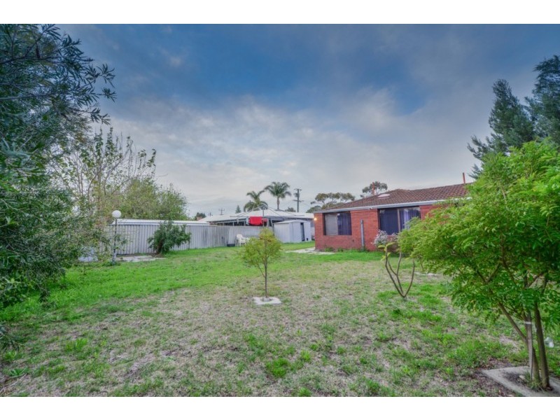 7 Saggers Crescent, Beckenham WA 6107