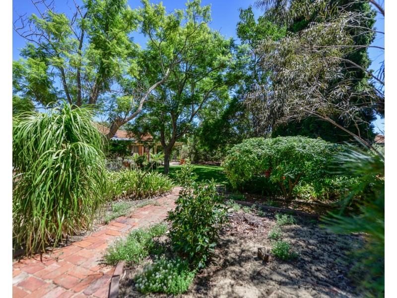 62 Oakover Street, East Fremantle WA 6158