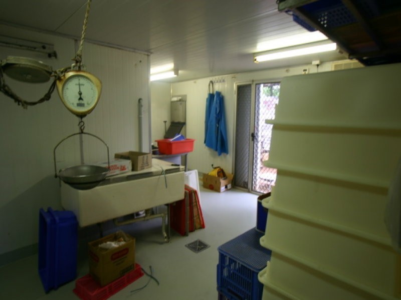 Millbank QLD 4670