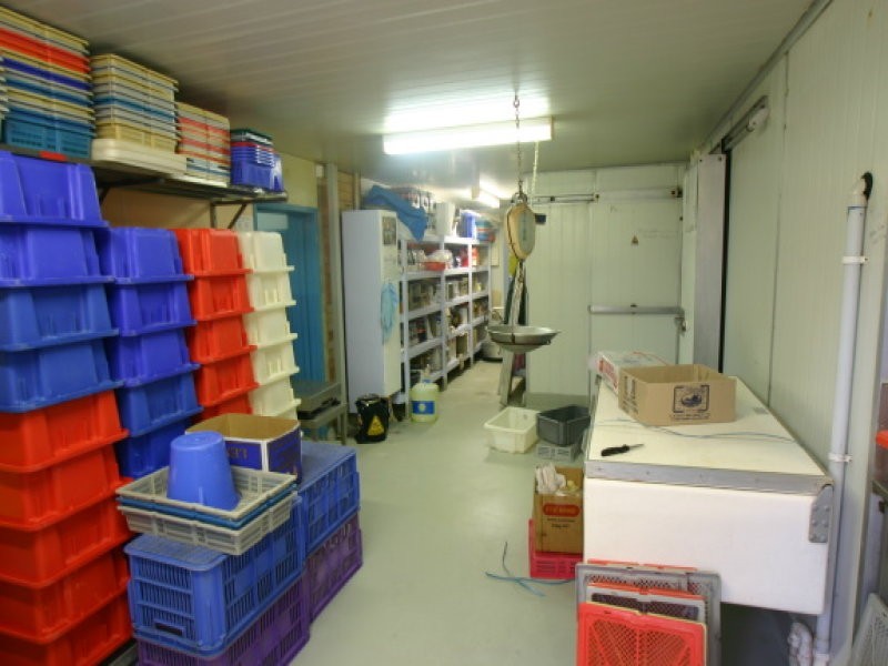 Millbank QLD 4670