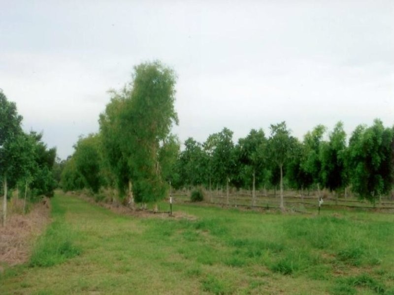 Moore Park Beach QLD 4670