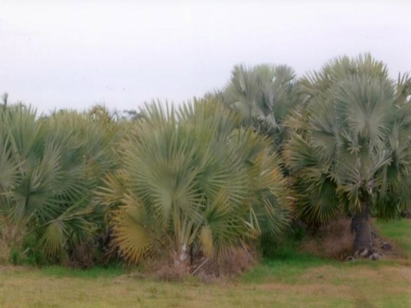 Moore Park Beach QLD 4670
