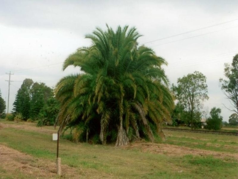 Moore Park Beach QLD 4670