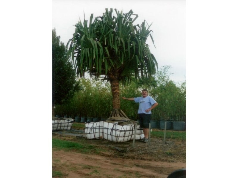 Moore Park Beach QLD 4670