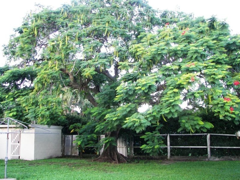 10 Adams Street, Bundaberg West QLD 4670