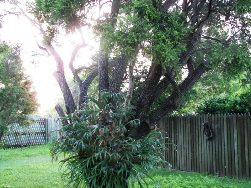 10 Adams Street, Bundaberg West QLD 4670