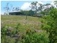 42 Delan Road, Bullyard QLD 4671
