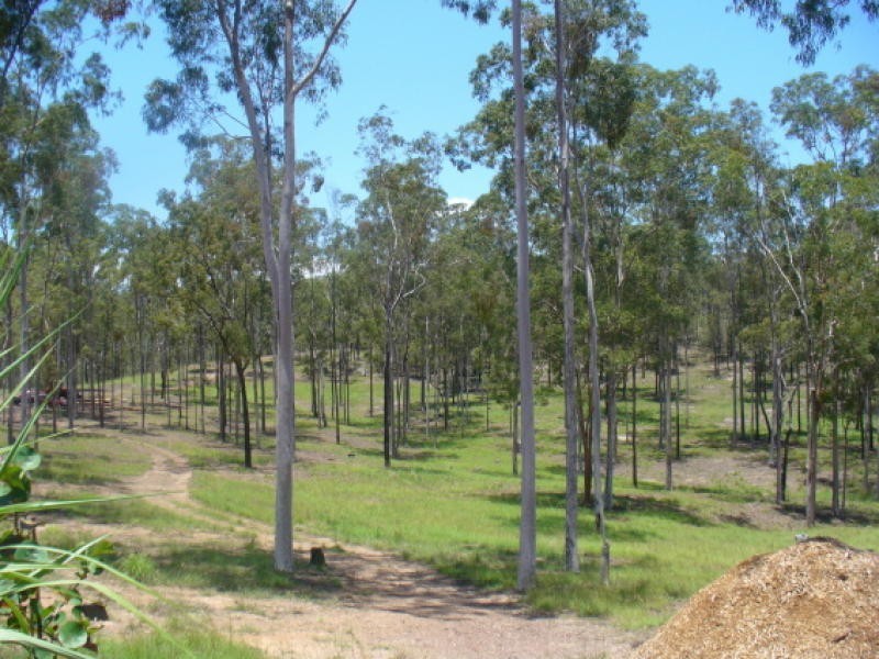42 Delan Road, Bullyard QLD 4671
