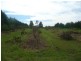 173 Bonels Road, Welcome Creek QLD 4670