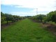 173 Bonels Road, Welcome Creek QLD 4670