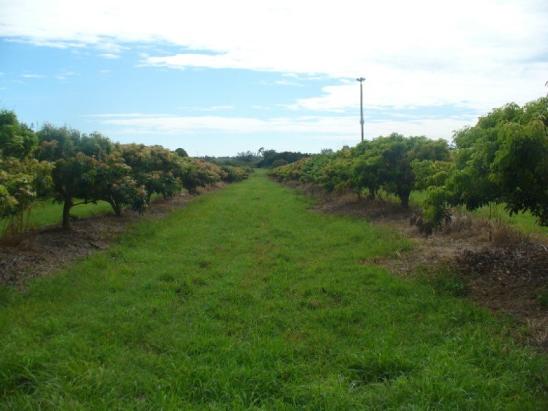 173 Bonels Road, Welcome Creek QLD 4670