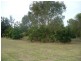 155 Kalbar Road, South Kolan QLD 4670