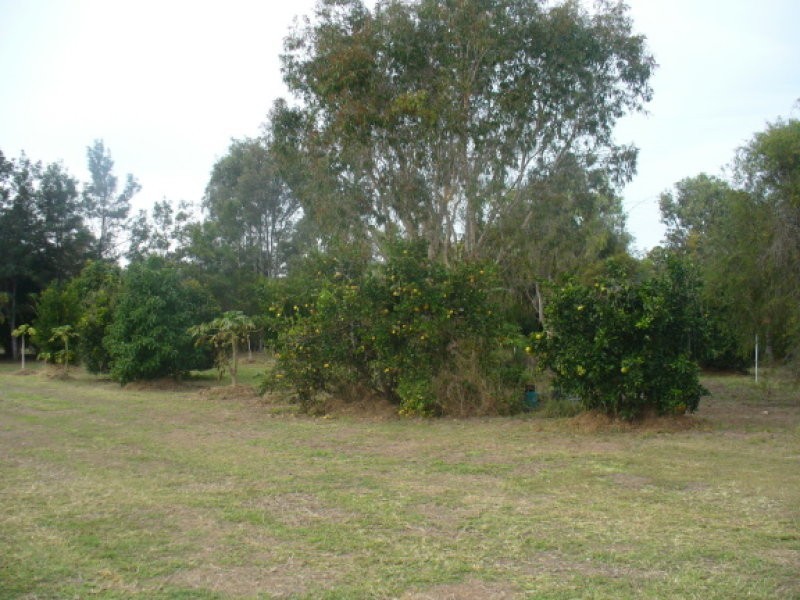 155 Kalbar Road, South Kolan QLD 4670