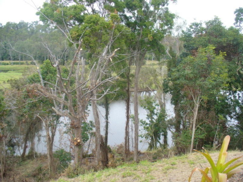 155 Kalbar Road, South Kolan QLD 4670