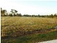 155 Kalbar Road, South Kolan QLD 4670