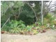 155 Kalbar Road, South Kolan QLD 4670