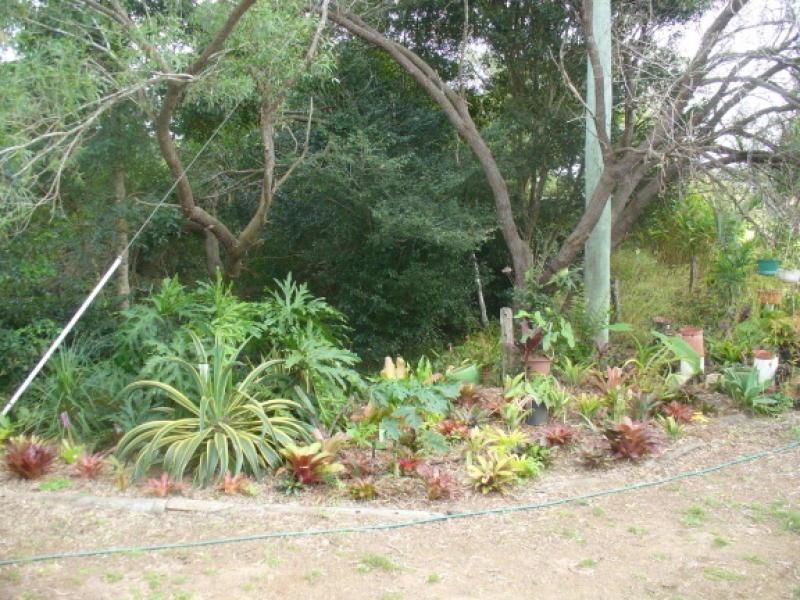 155 Kalbar Road, South Kolan QLD 4670