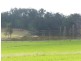 800 Wallaville Goondoom Rd, Delan QLD 4671