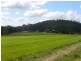 800 Wallaville Goondoom Rd, Delan QLD 4671