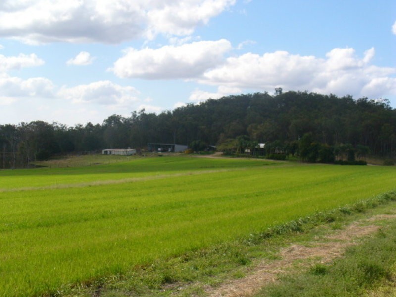 800 Wallaville Goondoom Rd, Delan QLD 4671