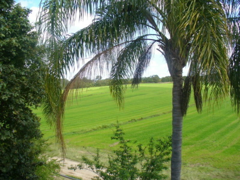 800 Wallaville Goondoom Rd, Delan QLD 4671