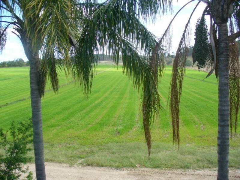 800 Wallaville Goondoom Rd, Delan QLD 4671