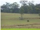 800 Wallaville Goondoom Rd, Delan QLD 4671