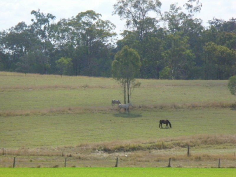 800 Wallaville Goondoom Rd, Delan QLD 4671