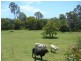 166 Booyan Road, Moore Park Beach QLD 4670