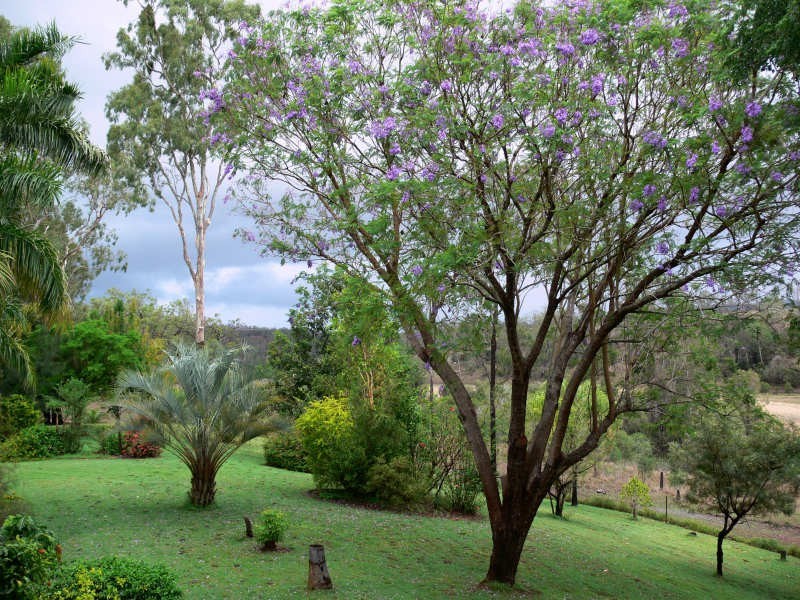 410 Old Booyal Road, Dallarnil QLD 4621