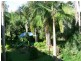 410 Old Booyal Road, Dallarnil QLD 4621