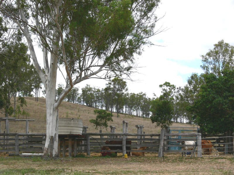 410 Old Booyal Road, Dallarnil QLD 4621