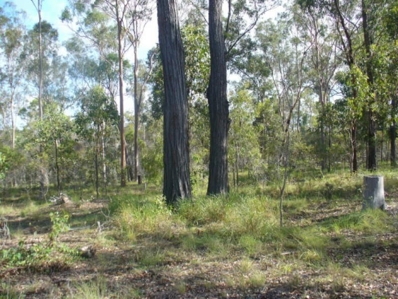 35 Billabong Way, Bucca QLD 4670